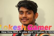 Lokesh Gamer Net Worth